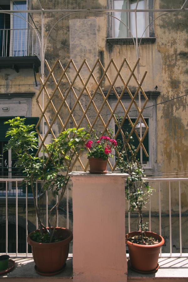 La Casa Del Nespolo, 2 Terrazzi E 2 Bagni In Centro Apartment Naples Luaran gambar