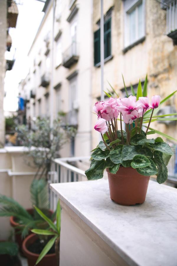 La Casa Del Nespolo, 2 Terrazzi E 2 Bagni In Centro Apartment Naples Luaran gambar